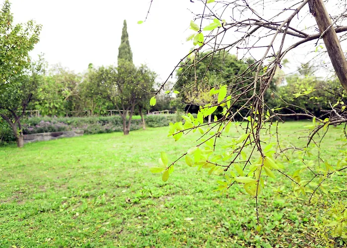 Malvarosa Giarre